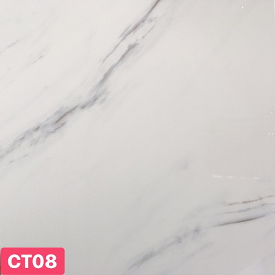 Tấm ốp tường nhựa CT08